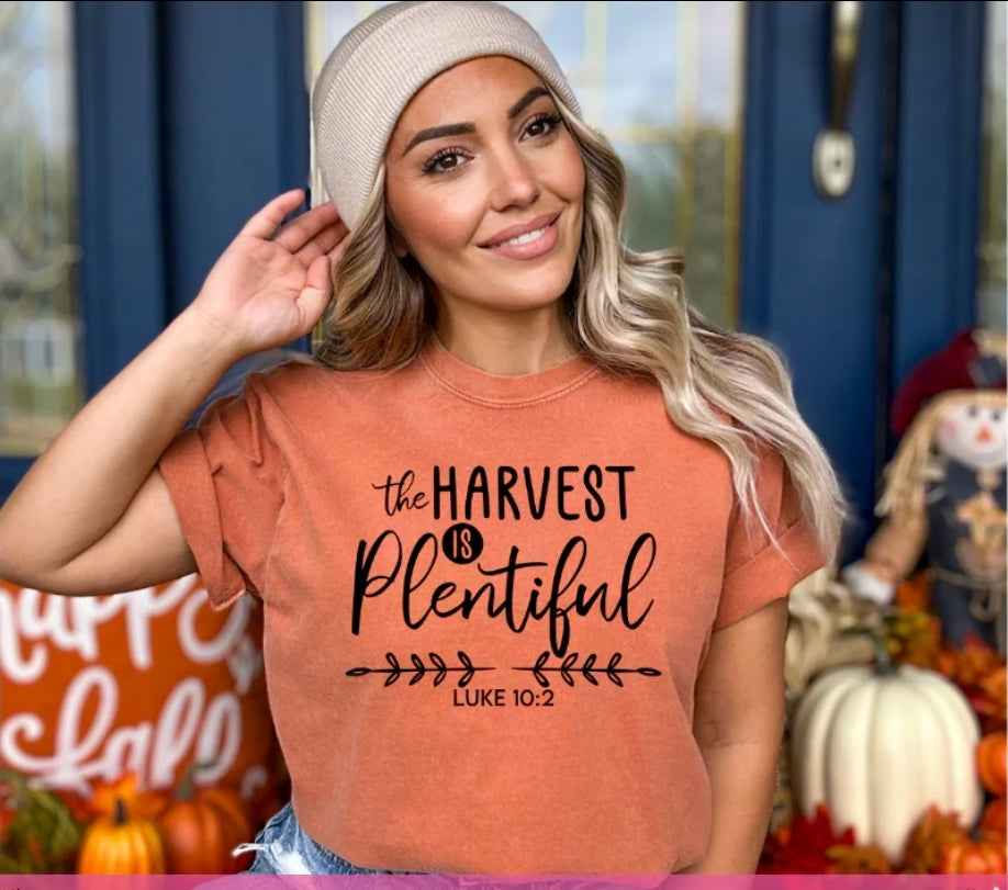 Harvest is plentiful